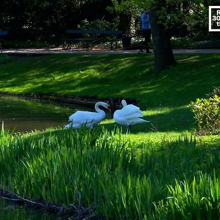 Szucha 27 - Royal Lazienki Flat Varşova Dış mekan fotoğraf