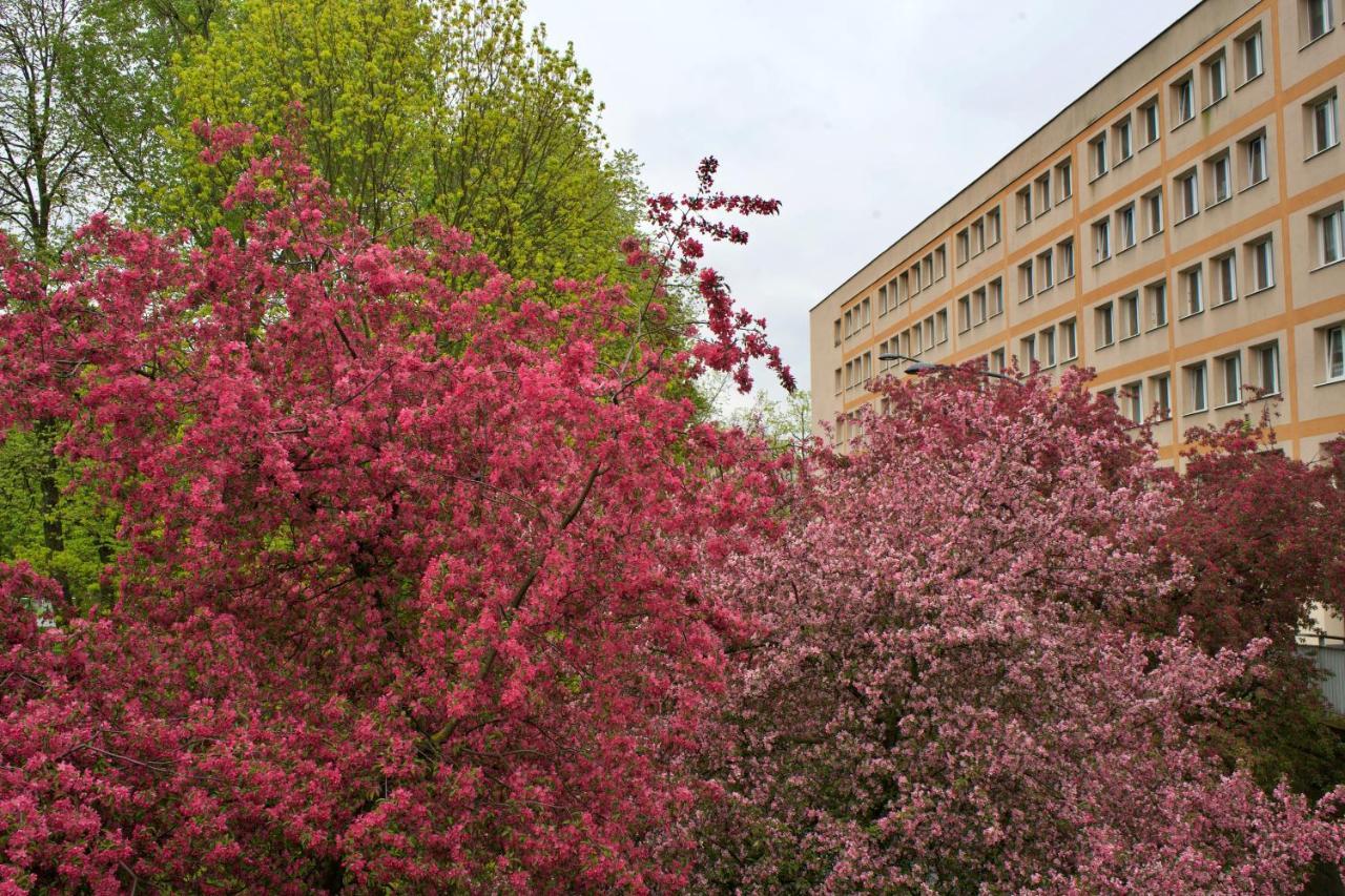 Szucha 27 - Royal Lazienki Flat Varşova Dış mekan fotoğraf